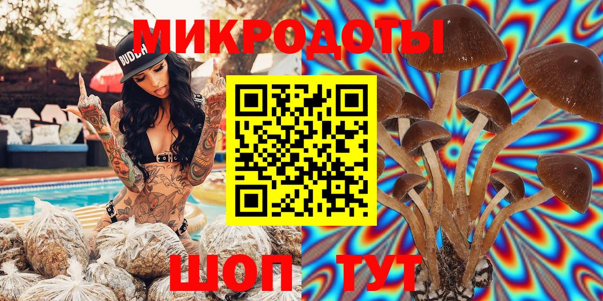 Псилоцибиновые грибы GOLDEN TEACHER Черняховск