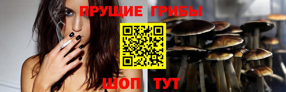 Псилоцибиновые грибы MAGIC MUSHROOMS  Вход с VPN  Черняховск 